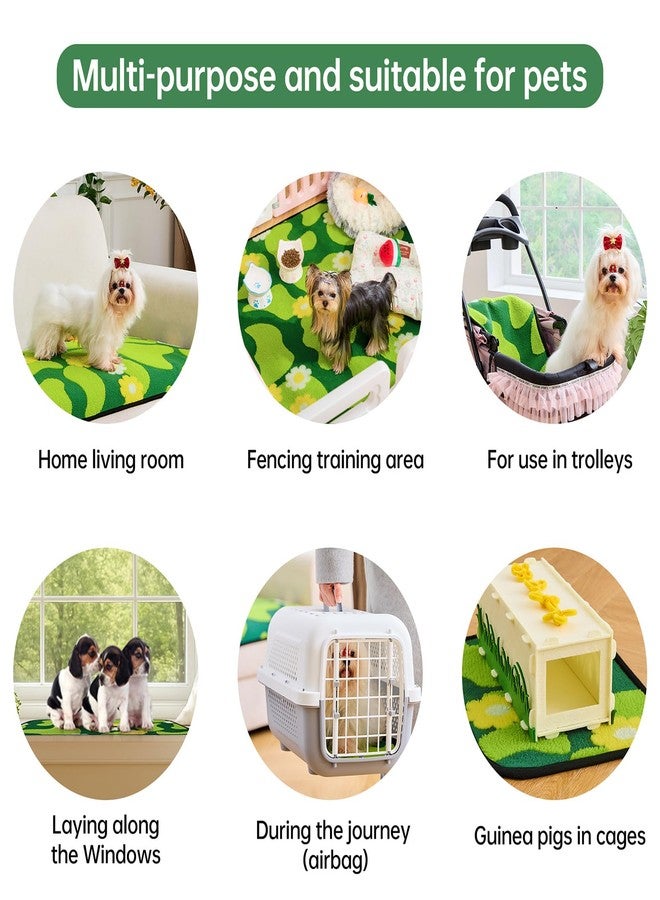 Qeils Reusable Puppy Pads for Small Dogs, Washable Pee Pads with Non-Slip , Absorbent Leakproof Mat for Crates, Playpens, Pet Beds & Whelping, Indoor Potty Training Grass Green, 23"x36", 2 Pack - Image 5